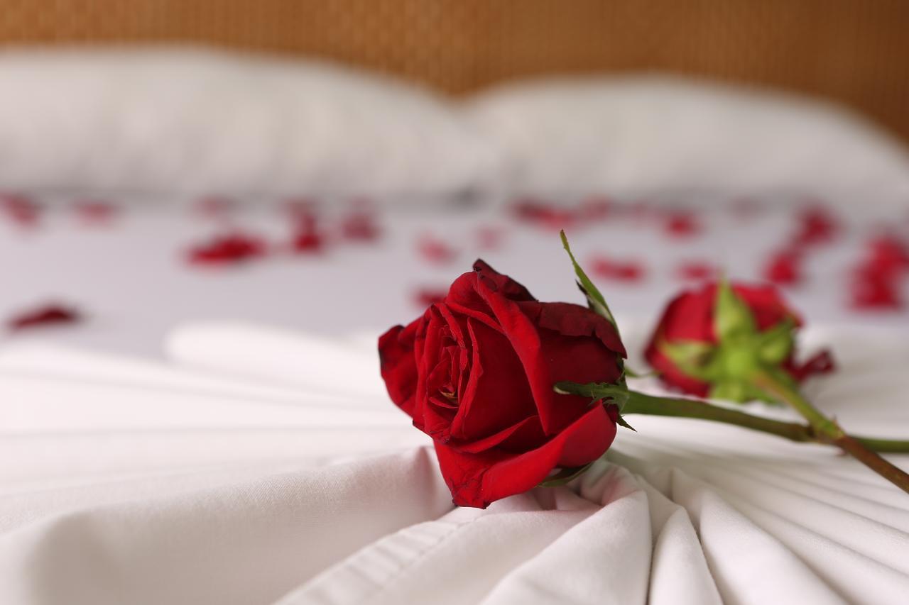 Hotel Anamichu Suites Melgar Zewnętrze zdjęcie